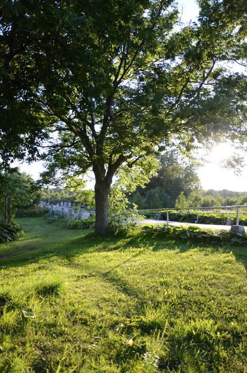 Tobisviks Camping Simrishamn Exterior photo